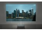 Leica Daylight Screen 100"